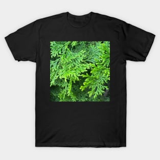 Forest Ever Green T-Shirt